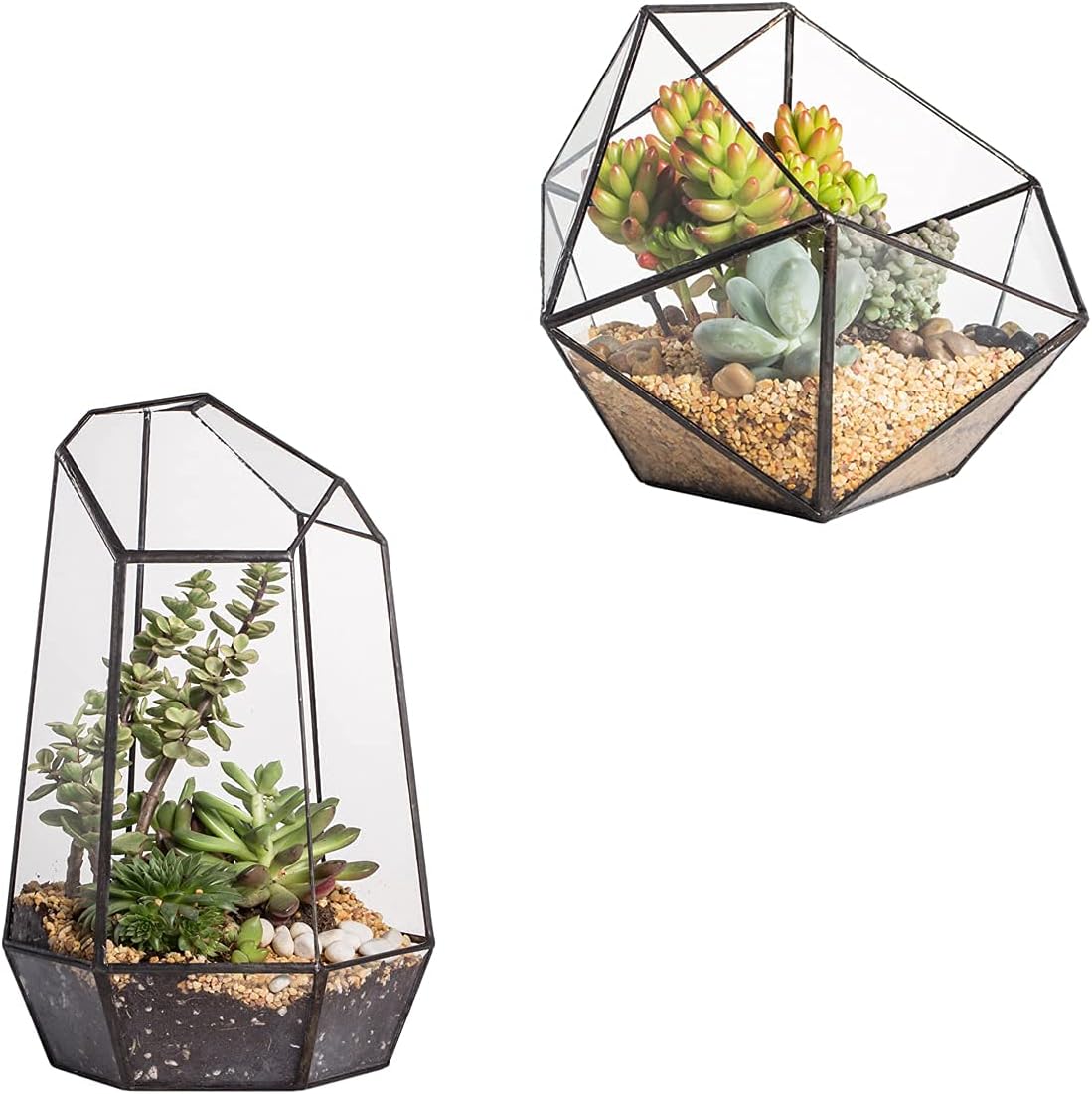 Glass Container Set - Set of 2 Geometric Glass Terrariums,