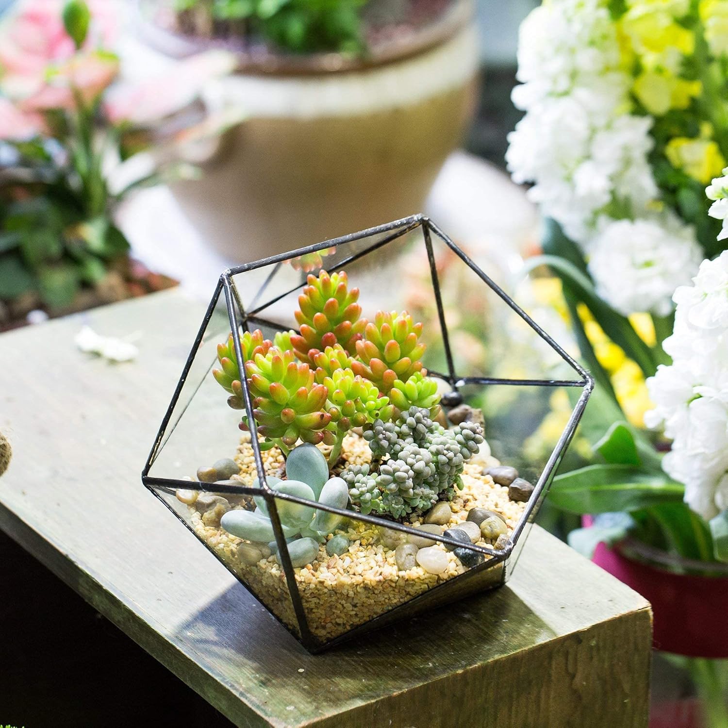 Set of 2 Geometric Glass Terra - Glass Container Set recensie en prijs