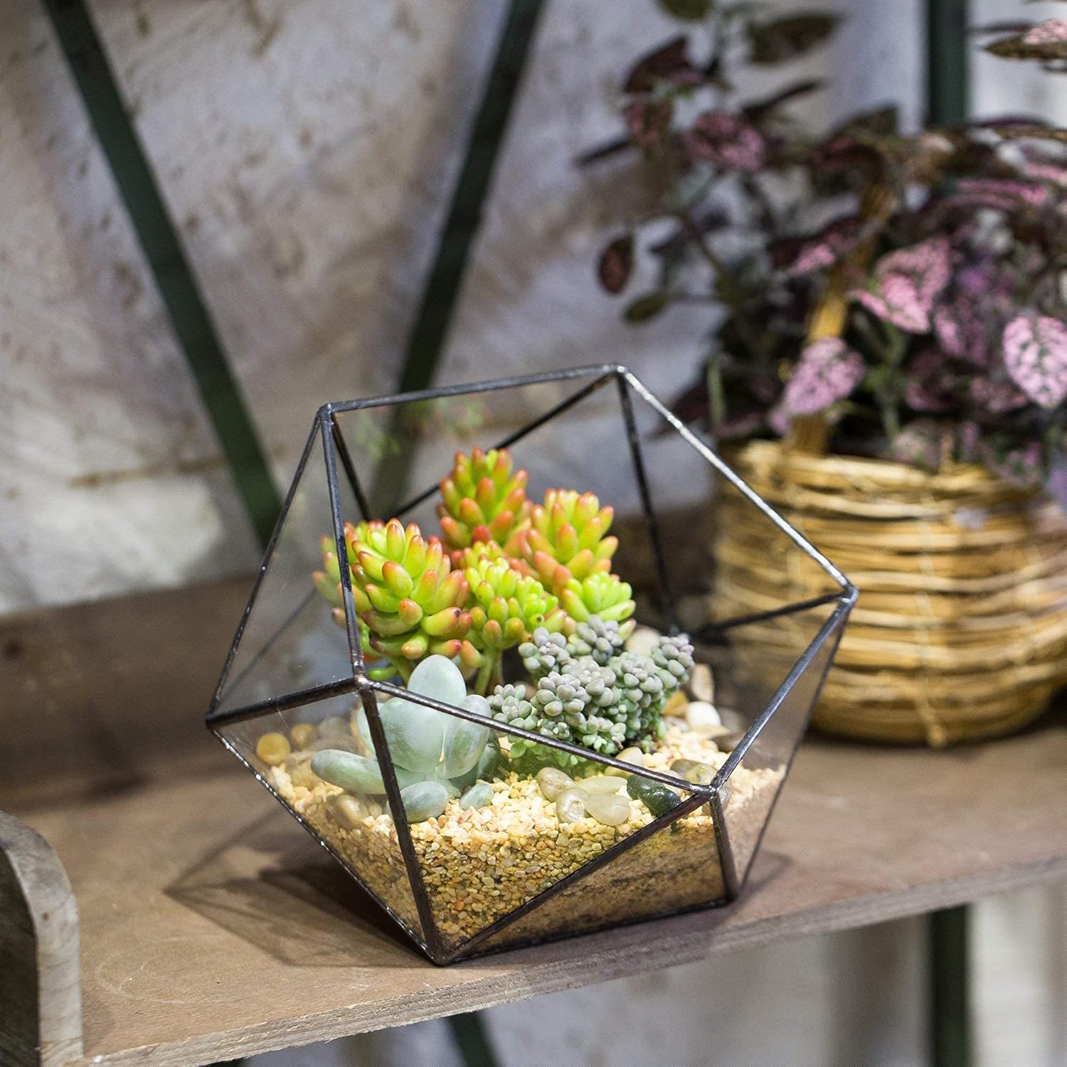 Set of 2 Geometric Glass Terra - Glass Container Set recensie en prijs